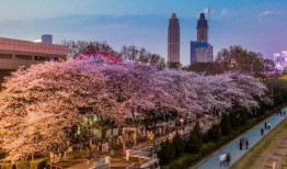 吃瓜爆料抖音网红大川,吃瓜爆料背后的故事与真相