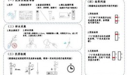 新冠试剂爆料最新消息,揭秘最新检测技术突破与潜在风险